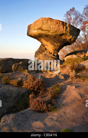 The Druids Writing Desk Brimham Rocks North Yorkshire England Stock Photo