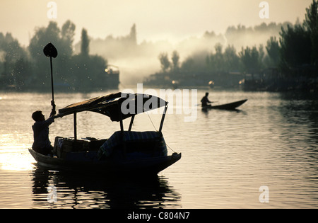 India, Kashmir, Srinagar, Shikara boats Stock Photo