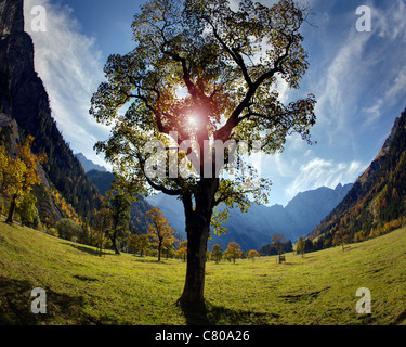 AT - TYROL: Autumn at Grosser Ahornboden (HDR image) Stock Photo