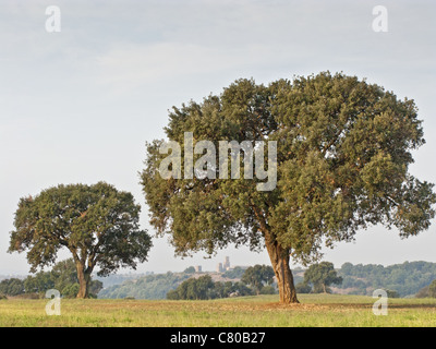 View of the hill of Saint Peter, Tuscania, central Italy. Stock Photo