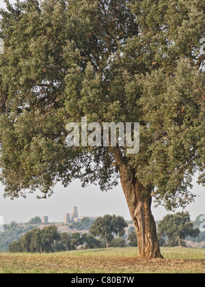 View of the hill of Saint Peter, Tuscania, central Italy. Stock Photo