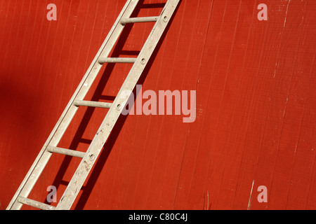 Rural Scene of a White Ladder Leaning Against a Red Wall Copy Space Stock Photo