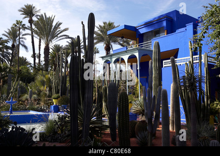 Morocco, Marrakech, Majorelle Botanic Garden Stock Photo