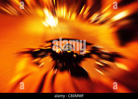 Abstract red slow motion speed background, selective focus on speedometer, night motorbike ride Stock Photo