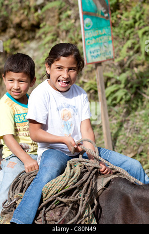 Children smiling riding an horse. Ibagué, Tolima, Colombia, South America Stock Photo