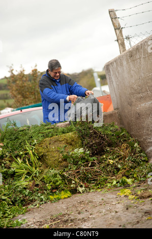 a man emptying dumping sacks of green garden waste at a recycling centre UK Stock Photo