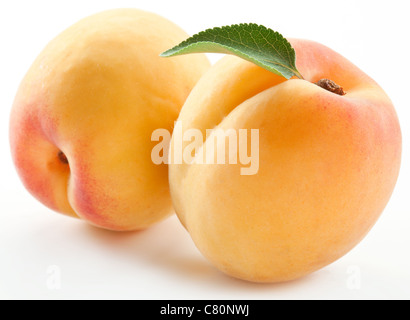Two ripe apricot with a leaf on a white background. Stock Photo