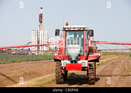 A farmer spraying his cabbages with Pesticide, Banks, Southport, UK. in front of a shale gas drilling project. Stock Photo
