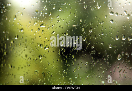 A garden seen through a window pane with rain on the glass Stock Photo