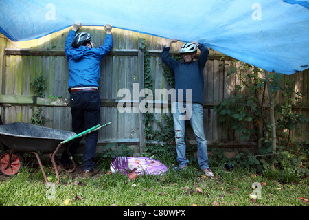 Man and woman holding a tarpaulin under a pear tree Stock Photo