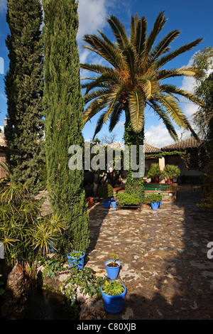 Courtyard at Anis Museum in Rute Cordoba Andalusia Spain Stock Photo