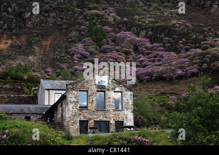 SYGUN COPPER MINE SURROUNDED BY RHODODENDRONS ON THE MOUNTAINSIDE AT  BEDDGELERT, SNOWDON NATIONAL PARK, WALES Stock Photo