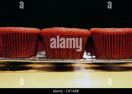 Still Life Photograph of Unfrosted Red Velvet Cupcakes on a Cooling Rack Copy Space Stock Photo