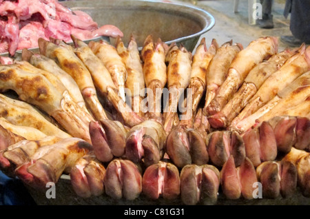 Aleppo, Syria, Syrien Souk Bazar, Markt Basar Suk Tierpfoten  Pfote pads Stock Photo