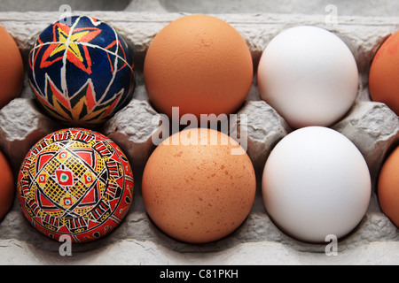 six various eggs in a carton including two white two brown and two pysanka Easter eggs Stock Photo