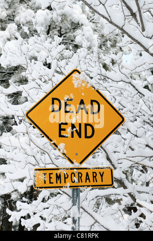 dead end road sign in yellow and black with snow and snowy branches Stock Photo