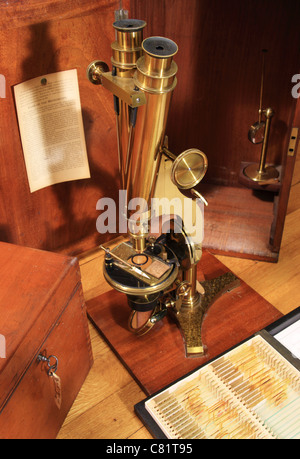 antique brass microscope with old wooden boxes and glass slides Stock Photo