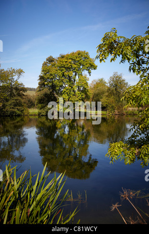 A tree and its reflection in the water of the River Thames, near to Pangbourne, reading, Berkshire. Stock Photo