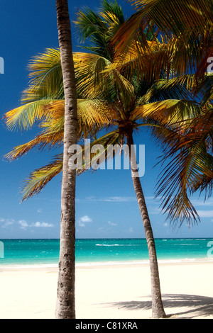Isla Verde Beach in San Juan Puerto Rico Caribbean Stock Photo - Alamy