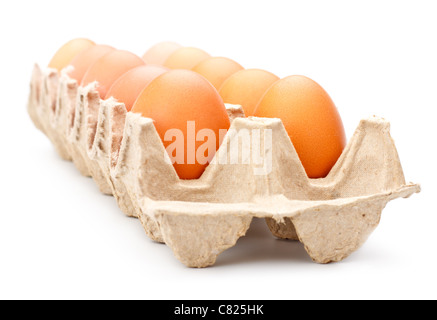 eggs in carton tray isolated on white Stock Photo