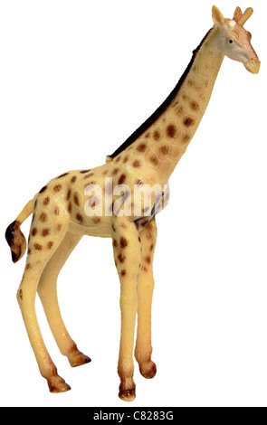 Plastic toy giraffe figurine isolated on white background  Model Release: No.  Property Release: No. Stock Photo