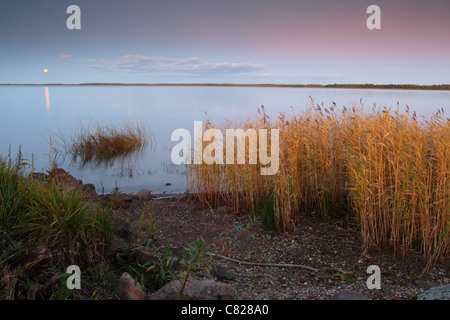 Moonrise at Lake Peipus, Estonia, Europe Stock Photo