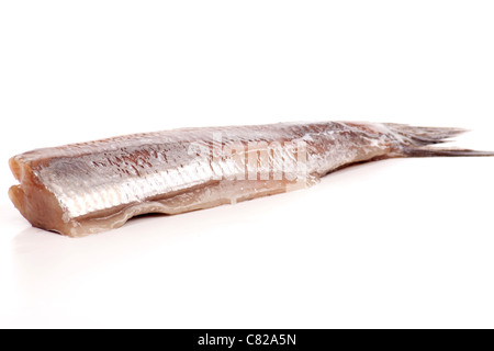 Typical Dutch salted herring called maatje or zoute haring Stock Photo