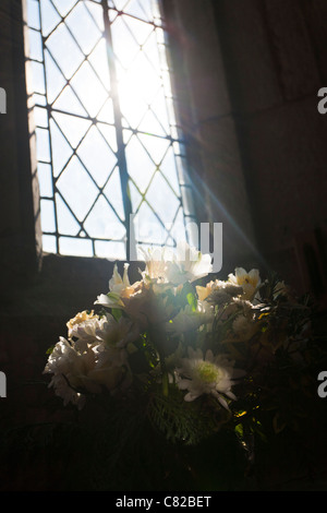 A shaft of sunlight streaming through a church window onto flowers Stock Photo