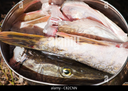 cooking of fish soup with fresh pike in a cauldron Stock Photo