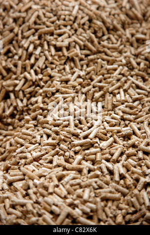 Production of wood pellets. A type of wood fuel. Sawdust is manufactured to pellets. Used in boilers of central heating systems. Stock Photo