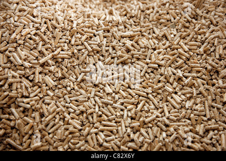 Production of wood pellets. A type of wood fuel. Sawdust is manufactured to pellets. Used in boilers of central heating systems. Stock Photo