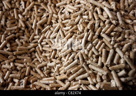 Production of wood pellets. A type of wood fuel. Sawdust is manufactured to pellets. Used in boilers of central heating systems. Stock Photo