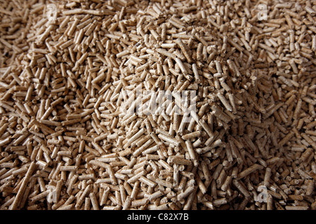 Production of wood pellets. A type of wood fuel. Sawdust is manufactured to pellets. Used in boilers of central heating systems. Stock Photo