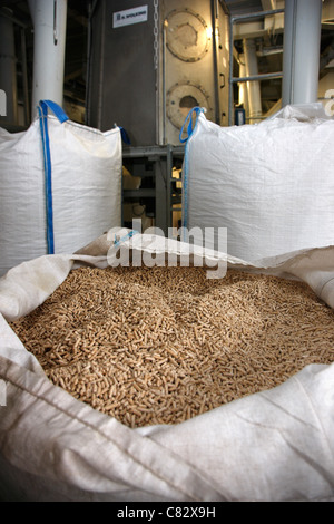 Production of wood pellets. A type of wood fuel. Sawdust is manufactured to pellets. Used in boilers of central heating systems. Stock Photo