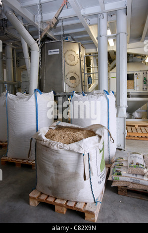 Production of wood pellets. A type of wood fuel. Sawdust is manufactured to pellets. Used in boilers of central heating systems. Stock Photo