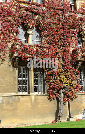 Virginia Creeper on Christ Church College Front Entrance and Facade Oxford University England Uk Stock Photo