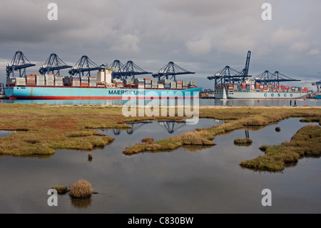 Trinity Quay, port of Felixstowe seen from the Shotley Peninsula, Suffolk, UK. Stock Photo