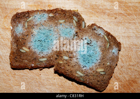 Mouldy toxic bread on wooden board Stock Photo