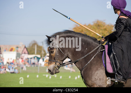 Working horse Single adult working at a jousting show Ardingly, UK Stock Photo