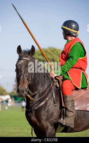 Working horse Single adult working at a jousting show Ardingly, UK Stock Photo