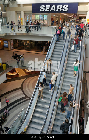 People on Escalators, Shopping in Mall Stock Photo