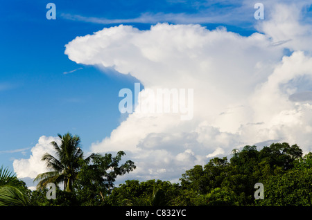 Threatening anvil shaped cumulonimbus cloud surrounded by blue sky forms above coconut palm trees in sunshine in Thailand Stock Photo