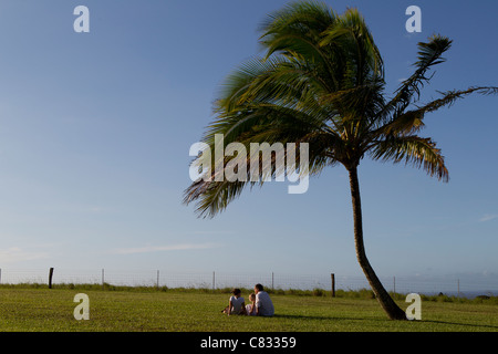 A family on vacation in Maui. Stock Photo