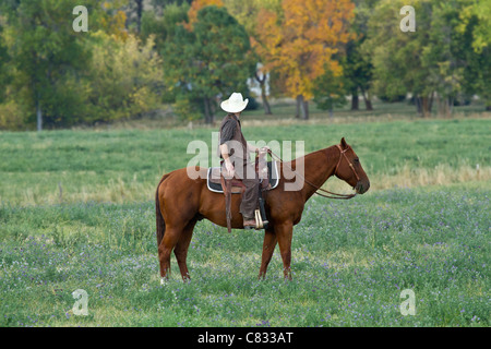 Cowboy on a brown horse looking off into the distance Stock Photo