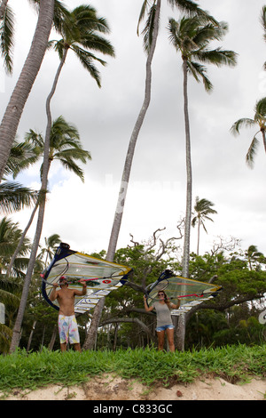 Windsurfing in Maui Stock Photo - Alamy