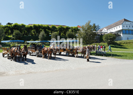 Horse carriages on the Herreninsel, Chiemgau Upper Bavaria Germany Stock Photo