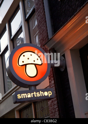 Illuminated smartshop sign with magic mushroom, Amsterdam the Netherlands Stock Photo