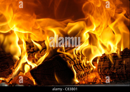 Burning wood fire close-up Stock Photo