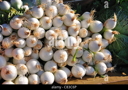 Fresh vegetables in Bonavista Sunday Market, Bonavista, near Salou, Costa Daurada, Province of Tarragona, Catalonia, Spain Stock Photo