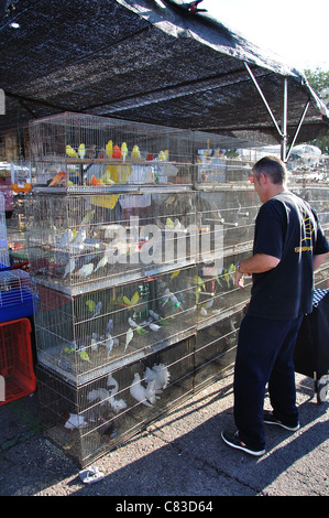 Bird cages at Bonavista Sunday Market, Bonavista, near Salou, Costa Daurada, Province of Tarragona, Catalonia, Spain Stock Photo